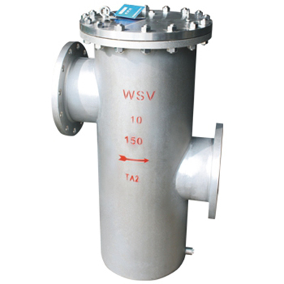 مصفاة الصمام السلة (Basket)